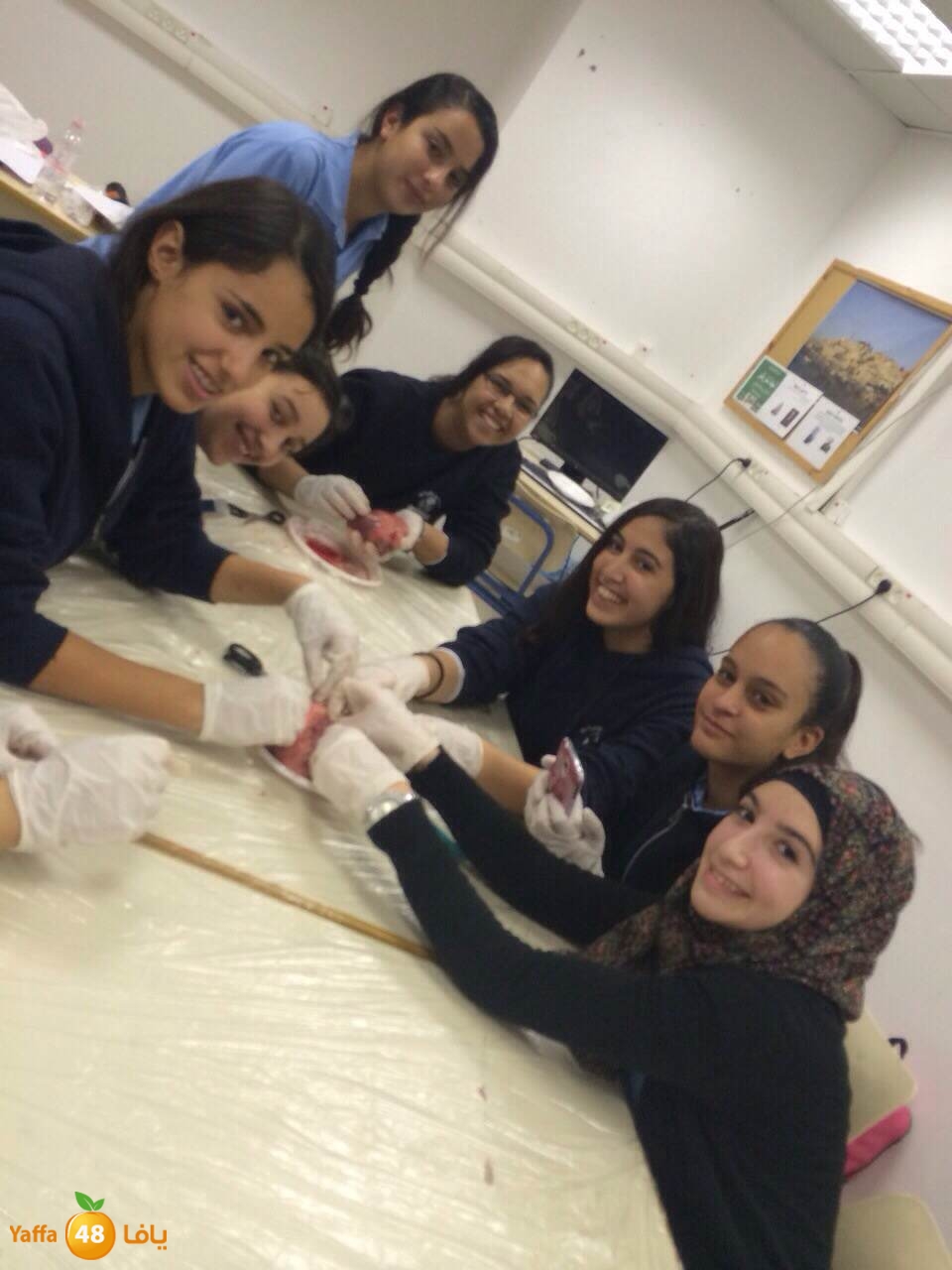 ajyal teb u (13).JPG